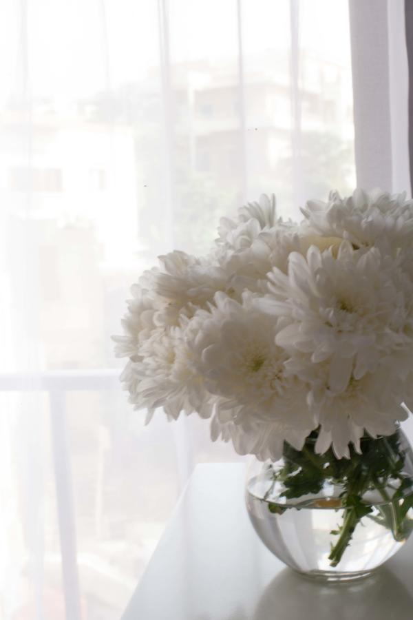 Byblos Aleph Boutique Hotel מראה חיצוני תמונה